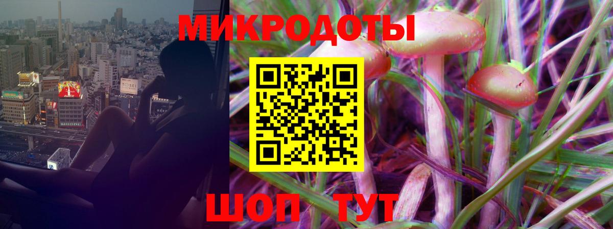 Галлюциногенные грибы прущие грибы Сафоново